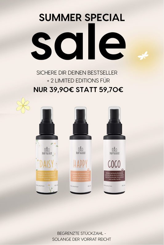 Summer Deal