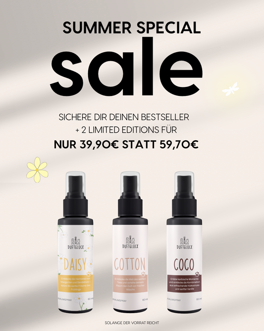 Summer Deal